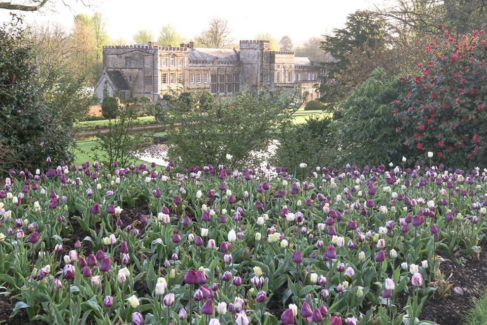 Forde Abbey gardens