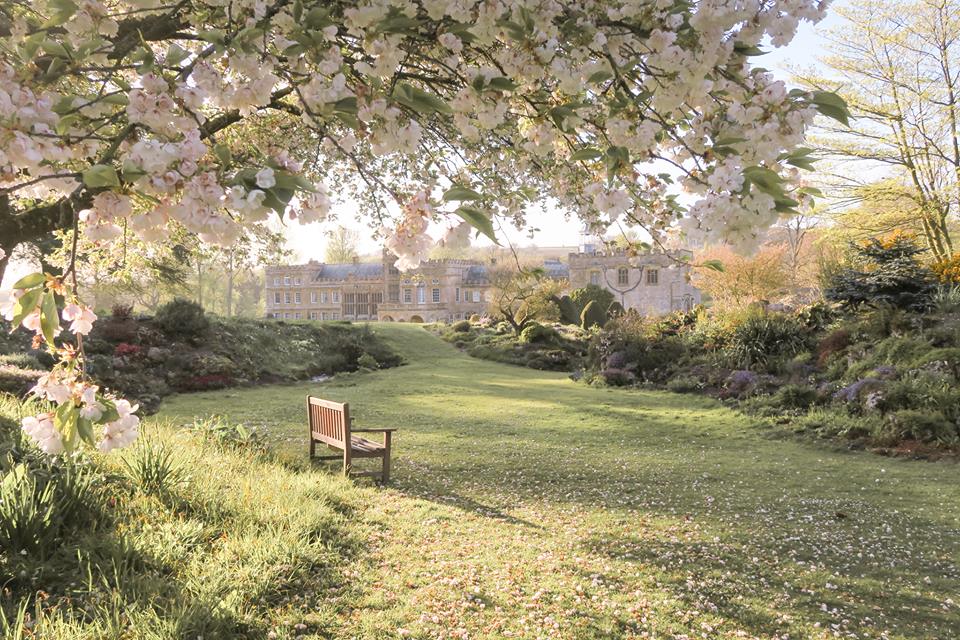 Forde Abbey gardens