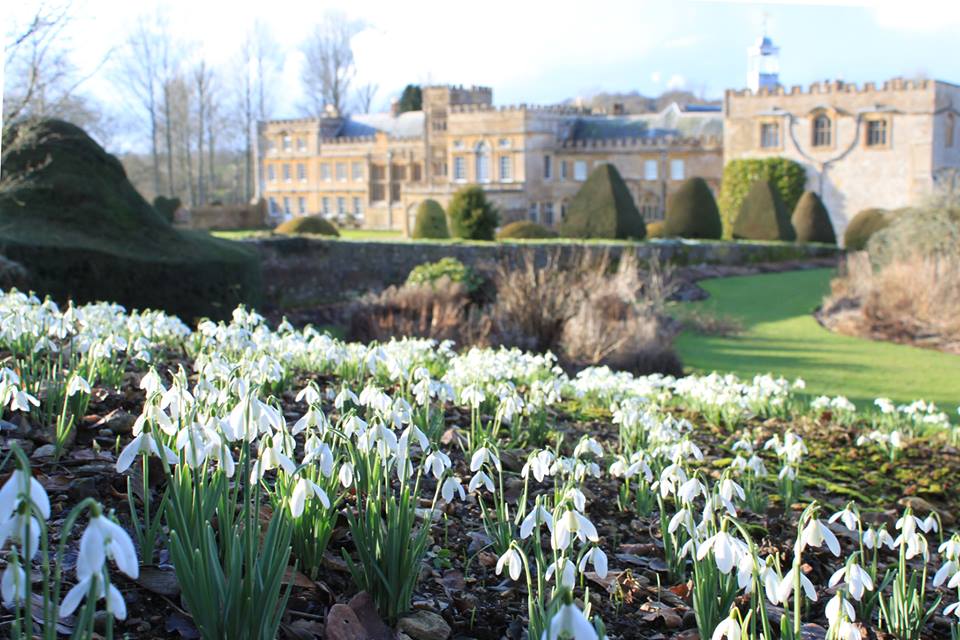 Forde Abbey gardens