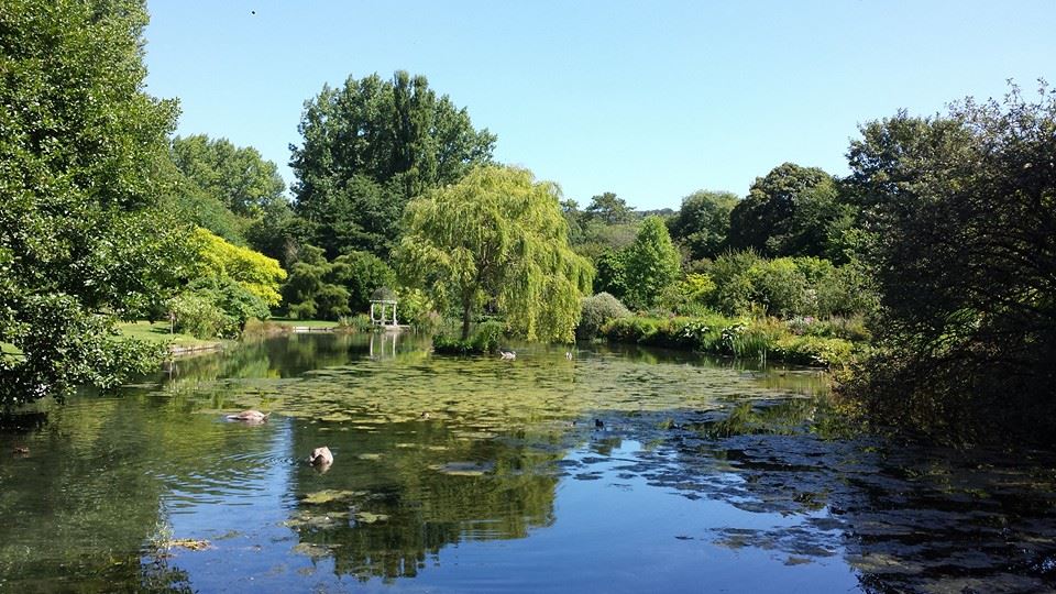 Springhead Trust lake