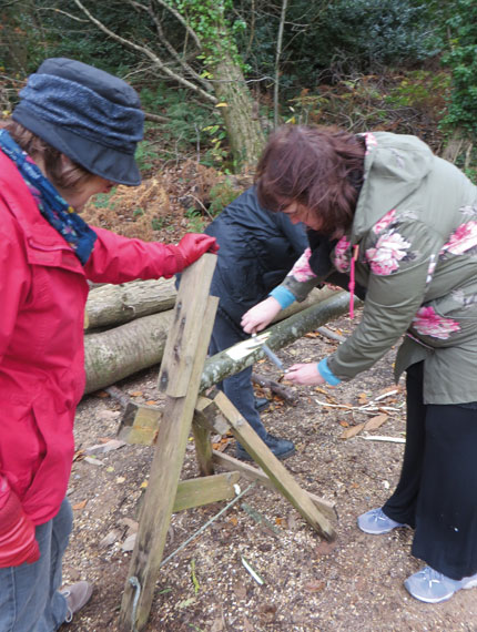 Visitors Debarking Sweet Chestnut pole