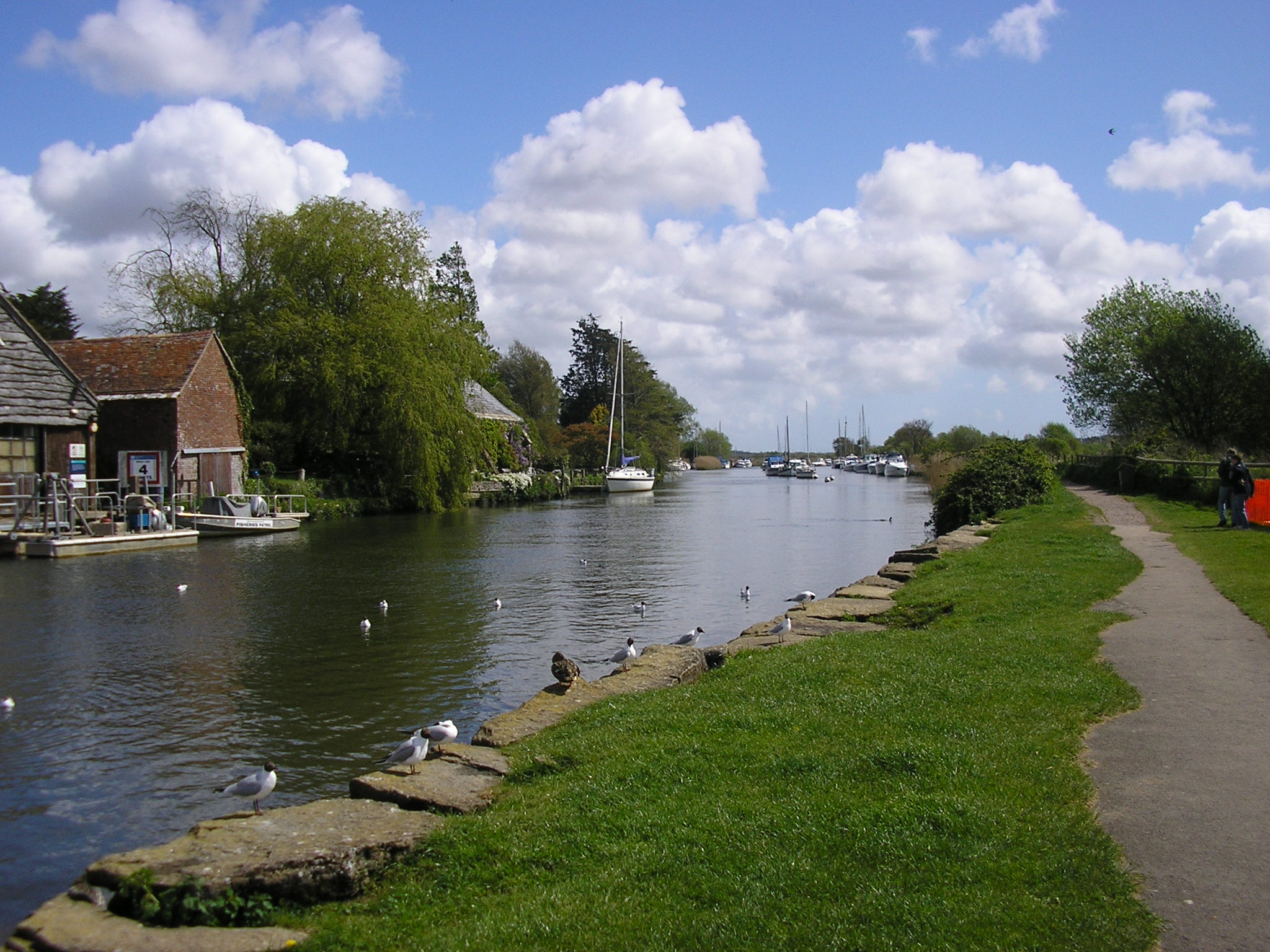 Wareham Quay non copyright (11)