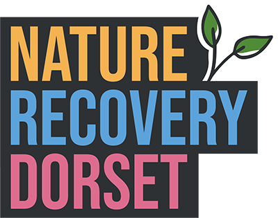 Dark grey Nature Recovery Dorset logo with no background