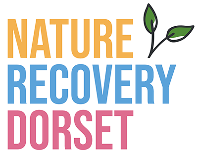 White Nature Recovery Dorset logo with no outline