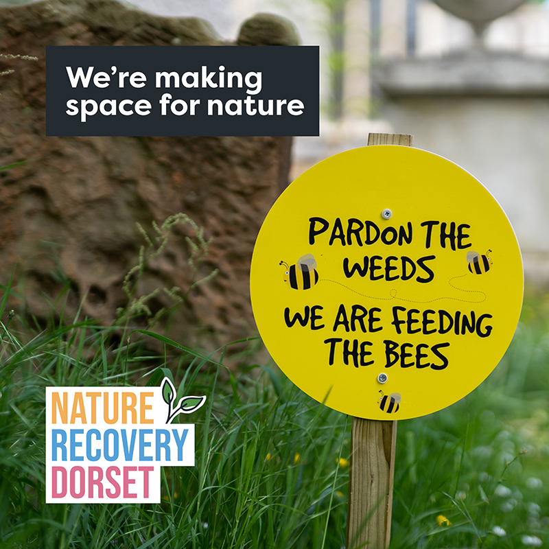 Pardon the weeds we are feeding the bees sign with 'we're making space for nature' text and Nature Recovery Dorset logo